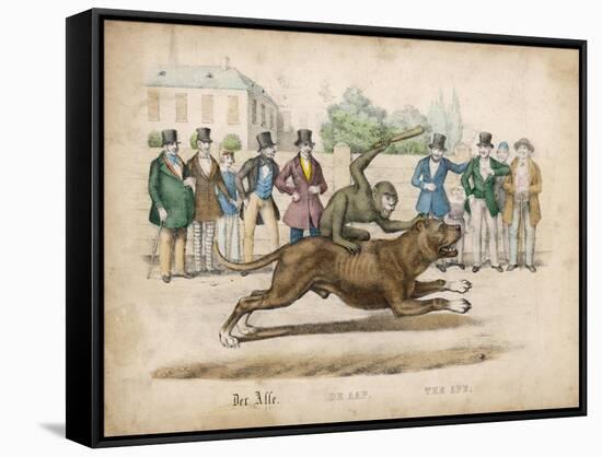 Group of Gentlemen Watch a Monkey Riding a Dog-null-Framed Stretched Canvas