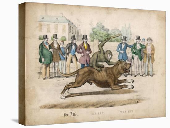 Group of Gentlemen Watch a Monkey Riding a Dog-null-Stretched Canvas