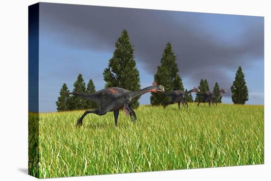 Group of Gigantoraptors Running across an Open Field-null-Stretched Canvas