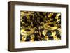 Group of Gold Poker Chips-null-Framed Art Print