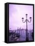 Group of Gondolas, Venice, Italy-Bill Bachmann-Framed Stretched Canvas