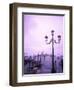 Group of Gondolas, Venice, Italy-Bill Bachmann-Framed Photographic Print