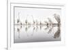 Group of Great Egrets (Ardea Alba) Reflected in Still Water-Bence Mate-Framed Photographic Print