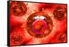 Group of H5N1 Virus with Glassy View-null-Framed Stretched Canvas