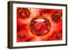 Group of H5N1 Virus with Glassy View-null-Framed Art Print