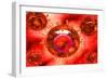 Group of H5N1 Virus with Glassy View-null-Framed Art Print