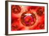 Group of H5N1 Virus with Glassy View-null-Framed Art Print