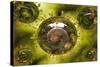 Group of H5N1 Virus with Glassy View-null-Stretched Canvas