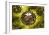 Group of H5N1 Virus with Glassy View-null-Framed Art Print