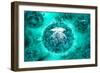 Group of H5N1 Virus with Glassy View-null-Framed Art Print