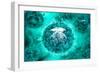 Group of H5N1 Virus with Glassy View-null-Framed Art Print