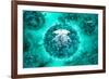 Group of H5N1 Virus with Glassy View-null-Framed Art Print