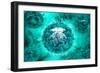 Group of H5N1 Virus with Glassy View-null-Framed Premium Giclee Print
