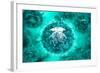 Group of H5N1 Virus with Glassy View-null-Framed Art Print