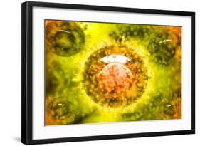 Group of H5N1 Virus with Glassy View-null-Framed Art Print