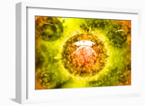 Group of H5N1 Virus with Glassy View-null-Framed Art Print