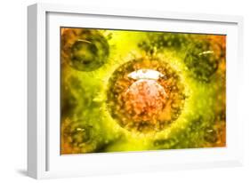 Group of H5N1 Virus with Glassy View-null-Framed Art Print