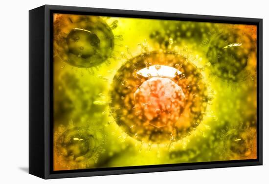Group of H5N1 Virus with Glassy View-null-Framed Stretched Canvas