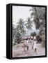 Group of Haitian Woman and a Donkey Walking Down a Dirt Road-Lynn Pelham-Framed Stretched Canvas