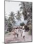 Group of Haitian Woman and a Donkey Walking Down a Dirt Road-Lynn Pelham-Mounted Photographic Print