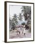 Group of Haitian Woman and a Donkey Walking Down a Dirt Road-Lynn Pelham-Framed Photographic Print