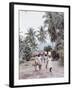 Group of Haitian Woman and a Donkey Walking Down a Dirt Road-Lynn Pelham-Framed Photographic Print