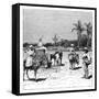 Group of Haitians, C1890-null-Framed Stretched Canvas