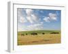 Group of Horses Eating Grass on Pasture in Summer Day-olechowski-Framed Photographic Print