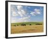 Group of Horses Eating Grass on Pasture in Summer Day-olechowski-Framed Photographic Print