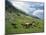 Group of Horses in the Pirim Mountains, Bulgaria, Europe-Nigel Callow-Mounted Photographic Print