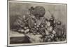 Group of Indian Fruit from the Island of Java-null-Mounted Giclee Print