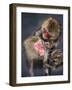 Group of Japanese macaque at the Jigokudani Snow Monkey Park, Yamanouchi, Nagano Prefecture, Japan-Jan Christopher Becke-Framed Photographic Print