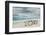 Group of King Penguins on beach, Volunteer Point, East Island, Falkland Islands-Adam Jones-Framed Photographic Print