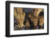 Group of Lions Drinking at Waterhole Close-Up-Nosnibor137-Framed Photographic Print