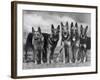 Group of Mrs Leslie Thornton's Celebrated "Southdown" Alsatians-Thomas Fall-Framed Photographic Print