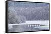 Group of Mute Swans (Cygnus Olor) on Partially Frozen Loch Laggan, Creag Meagaidh, Scotland, UK-Peter Cairns-Framed Stretched Canvas