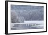 Group of Mute Swans (Cygnus Olor) on Partially Frozen Loch Laggan, Creag Meagaidh, Scotland, UK-Peter Cairns-Framed Photographic Print