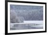 Group of Mute Swans (Cygnus Olor) on Partially Frozen Loch Laggan, Creag Meagaidh, Scotland, UK-Peter Cairns-Framed Photographic Print