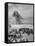 Group of People Visiting the Cheops Pyramids-null-Framed Stretched Canvas