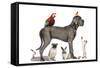 Group Of Pets - Dog, Cat, Bird, Reptile, Rabbit, Isolated On White-Life on White-Framed Stretched Canvas