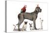Group Of Pets - Dog, Cat, Bird, Reptile, Rabbit, Isolated On White-Life on White-Stretched Canvas
