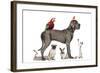 Group Of Pets - Dog, Cat, Bird, Reptile, Rabbit, Isolated On White-Life on White-Framed Photographic Print