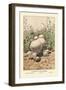 Group of Puff-Balls-William Hamilton Gibson-Framed Art Print