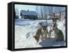 Group of Purebred Siberian Husky Pups at 8 Weeks at Vihari Kennels, Karelia, Finland, Scandinavia-Murray Louise-Framed Stretched Canvas