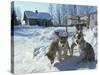 Group of Purebred Siberian Husky Pups at 8 Weeks at Vihari Kennels, Karelia, Finland, Scandinavia-Murray Louise-Stretched Canvas