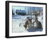 Group of Purebred Siberian Husky Pups at 8 Weeks at Vihari Kennels, Karelia, Finland, Scandinavia-Murray Louise-Framed Photographic Print