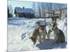 Group of Purebred Siberian Husky Pups at 8 Weeks at Vihari Kennels, Karelia, Finland, Scandinavia-Murray Louise-Mounted Photographic Print