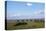 Group of riders in the Braderup Heath, Wenningstedt, Sylt, Schleswig Holstein, Germany-null-Stretched Canvas