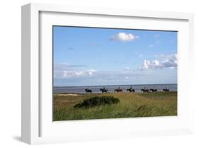 Group of riders in the Braderup Heath, Wenningstedt, Sylt, Schleswig Holstein, Germany-null-Framed Art Print