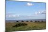 Group of riders in the Braderup Heath, Wenningstedt, Sylt, Schleswig Holstein, Germany-null-Mounted Art Print